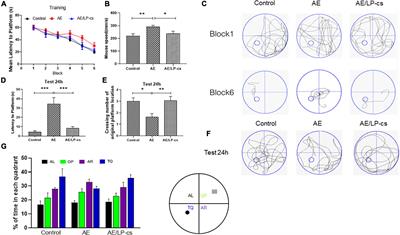 Lactobacillus plantarum ST-III culture supernatant ameliorates alcohol-induced cognitive dysfunction by reducing endoplasmic reticulum stress and oxidative stress